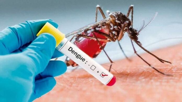 Dengue-1