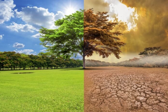 Cambio climático
