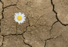 Webinar ¿Cómo pueden las personas y los ecosistemas aumentar la resiliciencia al cambio? ¡Inscríbete!