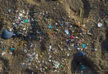 El Plástico Invisible: ¿Por qué hay microplásticos en la playa y cómonos afecta? Definición de microplásticos como fragmentos menores a 5 milímetros y su impacto ambiental