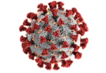 ¿Qué es un virus explicado fácil? Explicación sencilla de qué es un virus, cómo invade las células y cómo se reproduce dentro del organismo