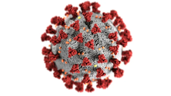 Explicación sencilla de qué es un virus, cómo invade las células y cómo se reproduce dentro del organismo