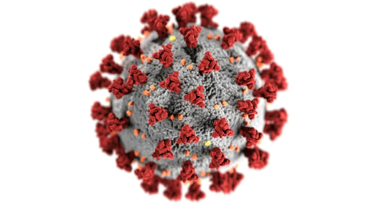 Explicación sencilla de qué es un virus, cómo invade las células y cómo se reproduce dentro del organismo